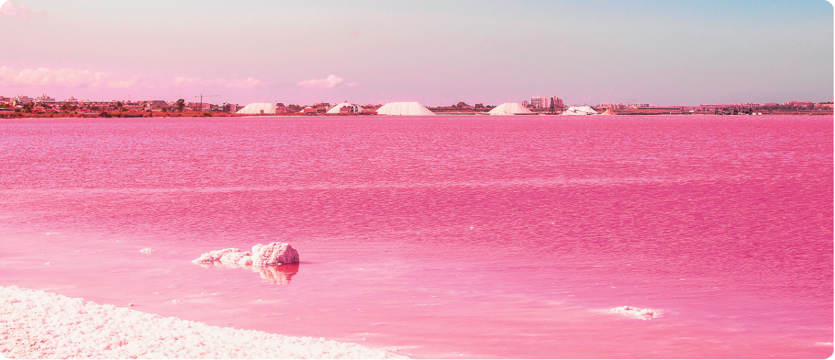 Tourist Train to Torrevieja Lagoons: Discover the Pink Lagoon and Flamingo Paradise