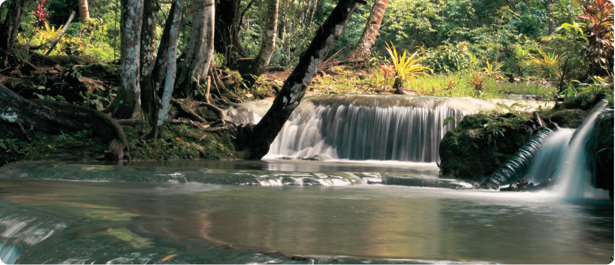 Discover the Beauty of Fonts del Algar Waterfalls, Spain: A Must-Visit Natural Paradise